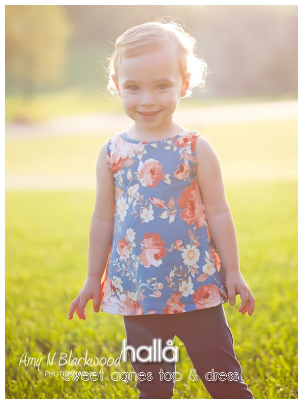 sweet agnes swing top & dress